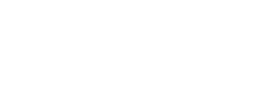Leiloes Judiciais no Brasil