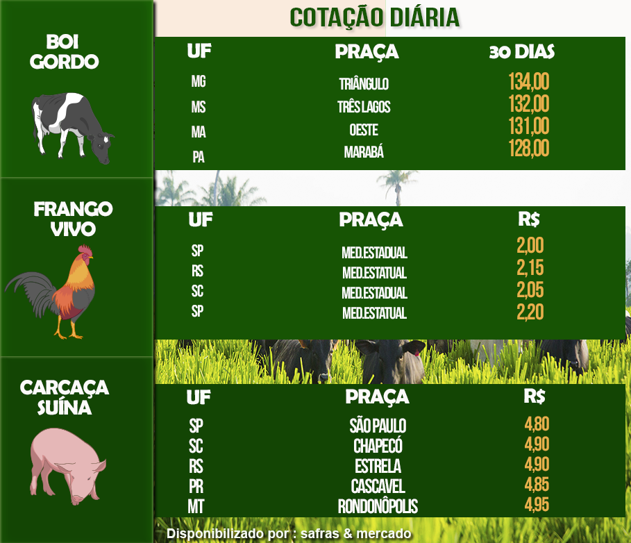 Indicadores / Créditos: Sabrine Cruz - Agência do Rádio Mais Indicadores