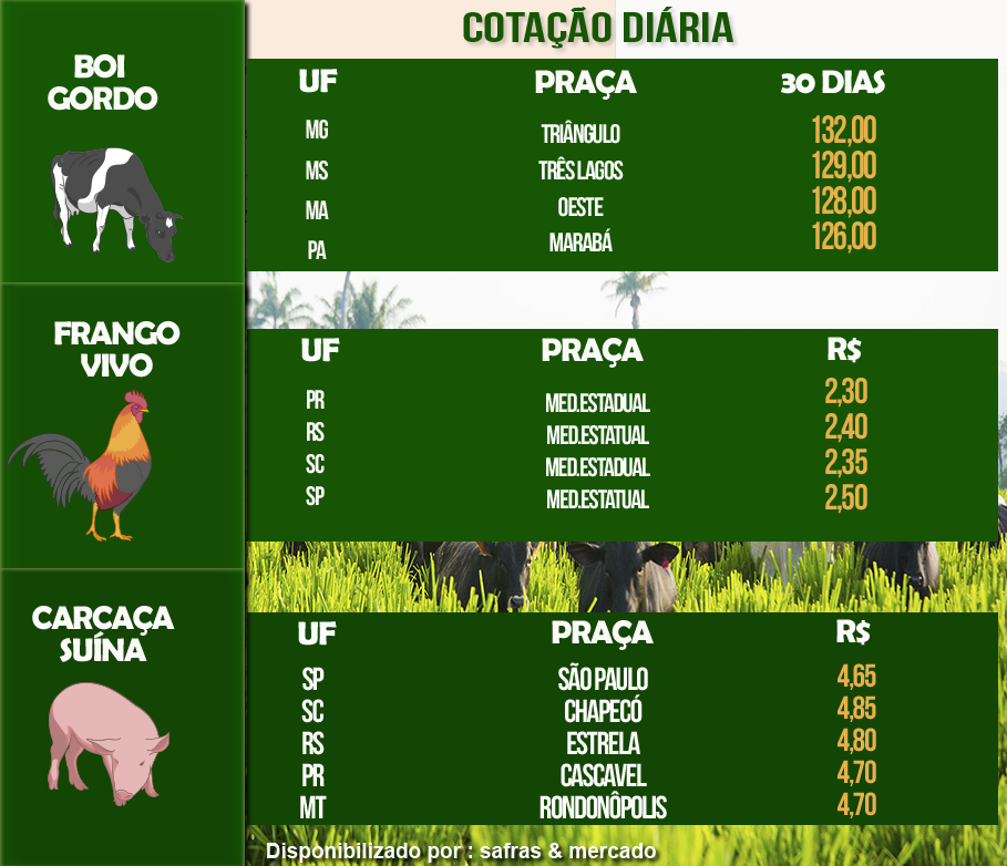 Indicadores