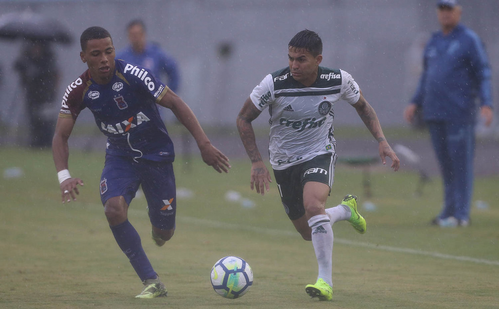 Paraná e Palmeiras empataram no estádio do Café / Créditos: Reprodução Palmeiras Paraná e Palmeiras empataram no estádio do Café