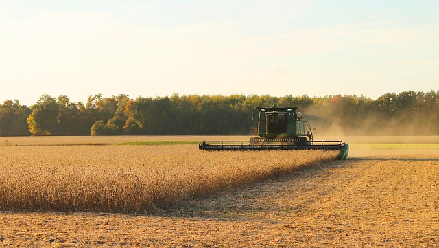 Chuvas impedem trabalho das colheitadeiras no campo