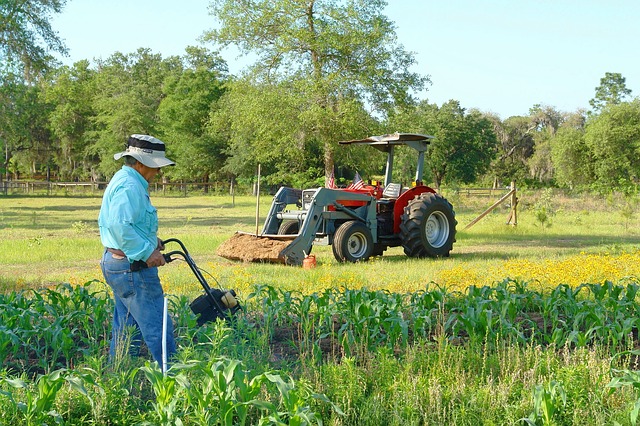 Regiões de agricultura familiar necessitam de estratégias para ter uma melhor qualidade de água