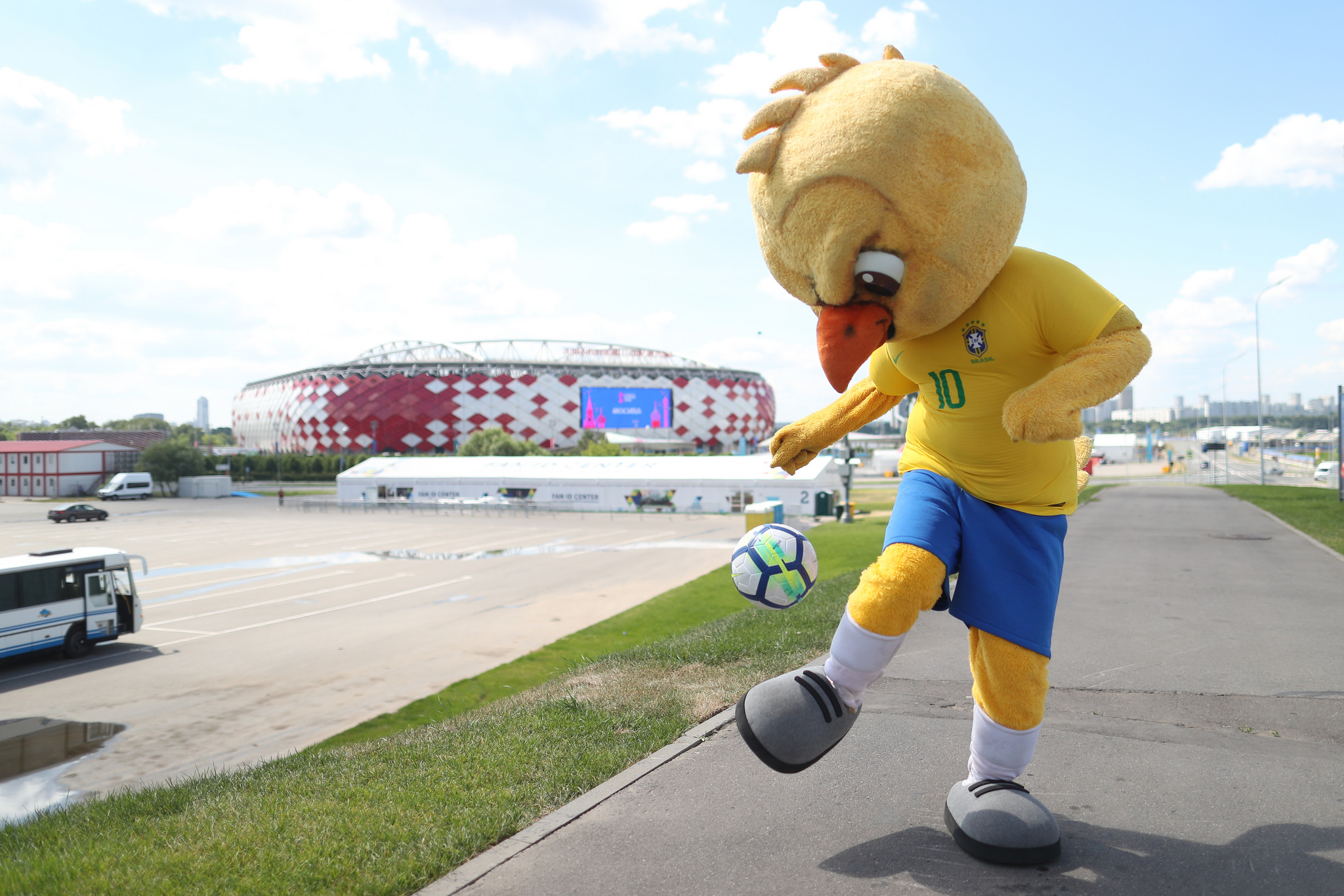 Mascote da seleção, Canarinho "Pistola" se tornou símbolo do time de Tite