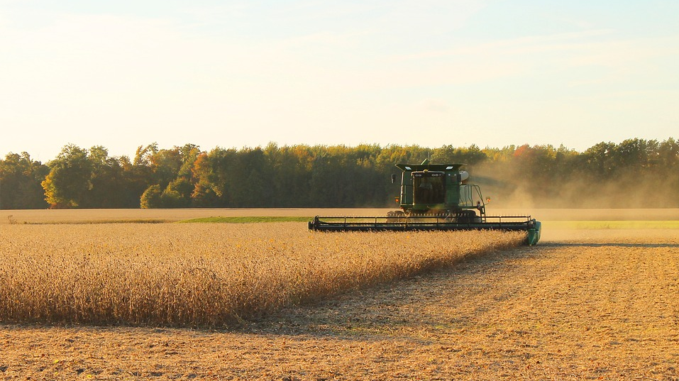 Produção de soja deve aumentar cerca de 0,7%, enquanto milho e arroz devem cair 15% e 7%, respectivamente