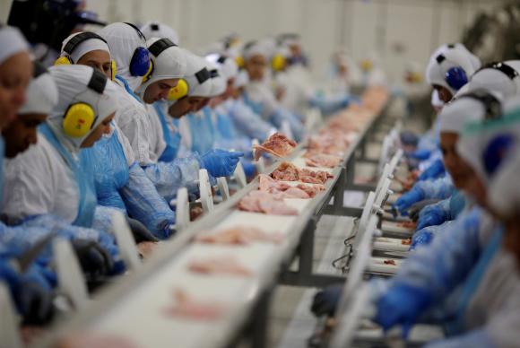 3ª Fase da Operação Carne Fraca investigou laboratórios de fraudar os resultados laboratoriais relacionados a Salmonella / Créditos: Agência Brasil 3ª Fase da Operação Carne Fraca investigou laboratórios de fraudar os resultados laboratoriais relacionados a Salmonella