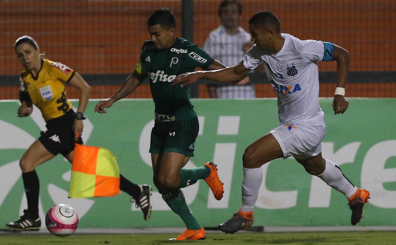 Palmeiras e Santos se enfrentam nessa terça (27) no Pacaembu