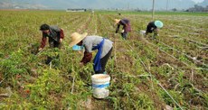 Foto: Agência Brasil Foto: Agência Brasil