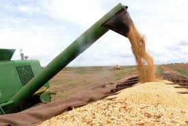 Foto: Agência Brasil Foto: Agência Brasil