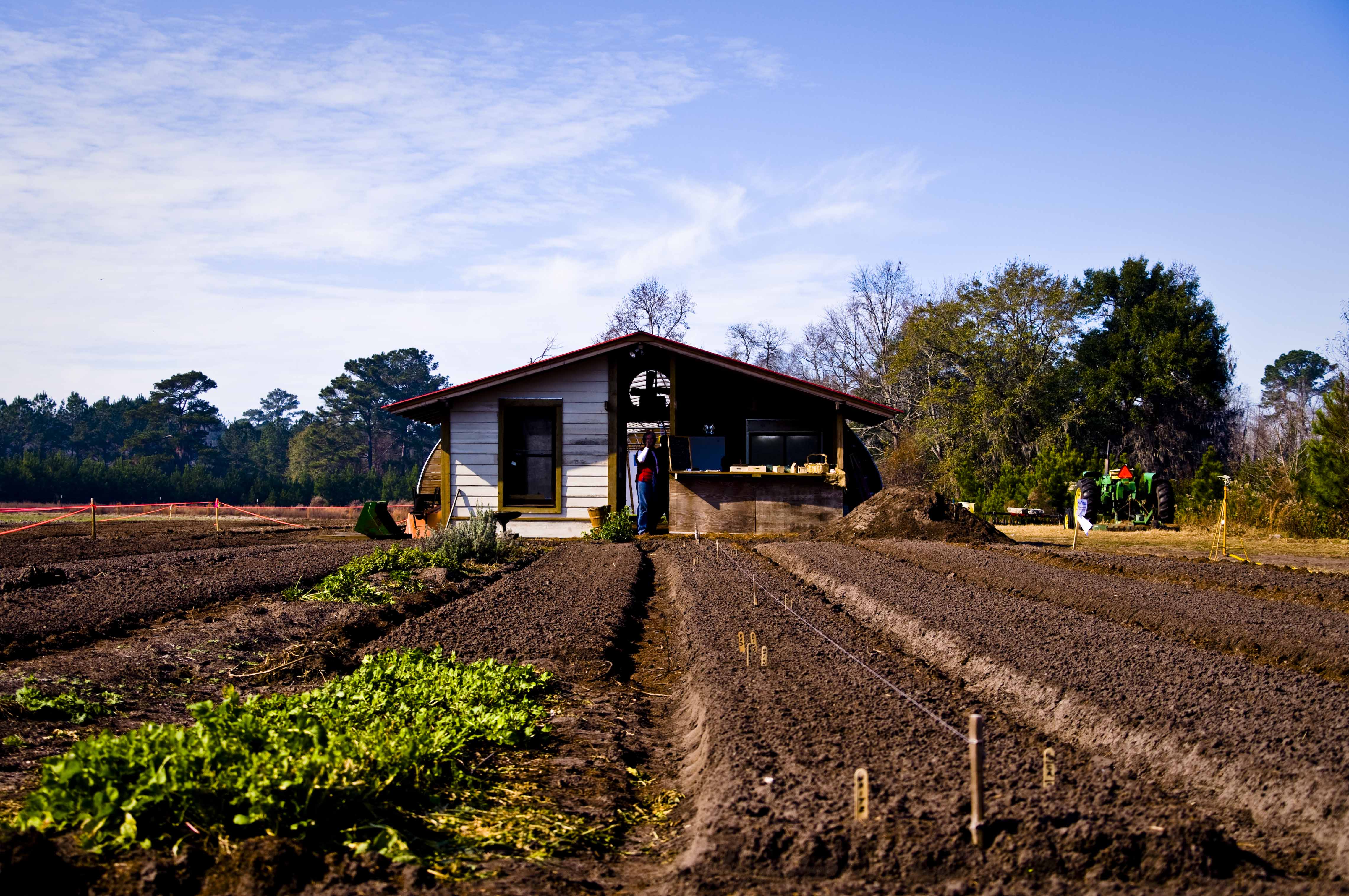Agência Nacional de Águas aponta que o Brasil possui uma das maiores áreas irrigadas do mundo, mesmo utilizando apenas uma pequena parcela do seu potencial para a atividade