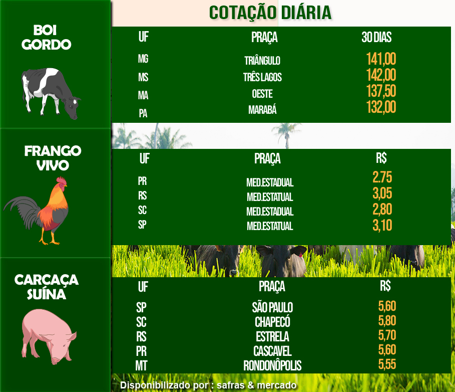 Indicadores