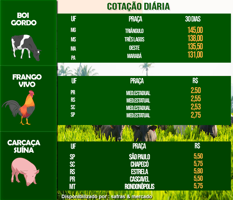 Indicadores