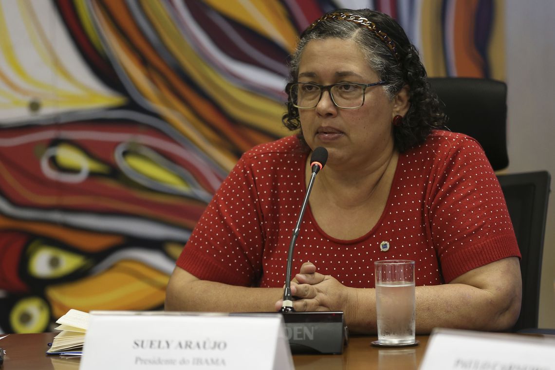 Foto: Agência Brasil Foto: Agência Brasil