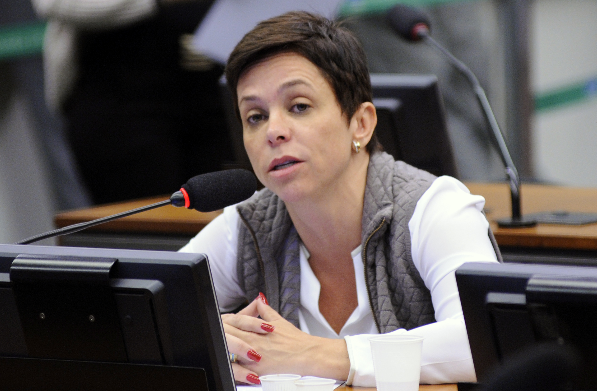 Deputada Cristiane Brasil é a relatora do projeto na Câmara