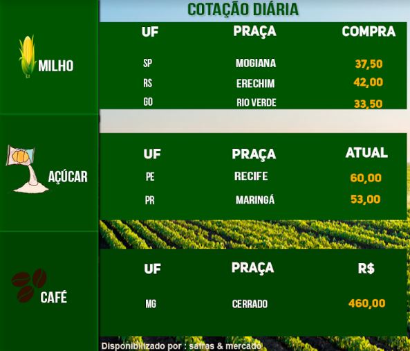 Indicadores
