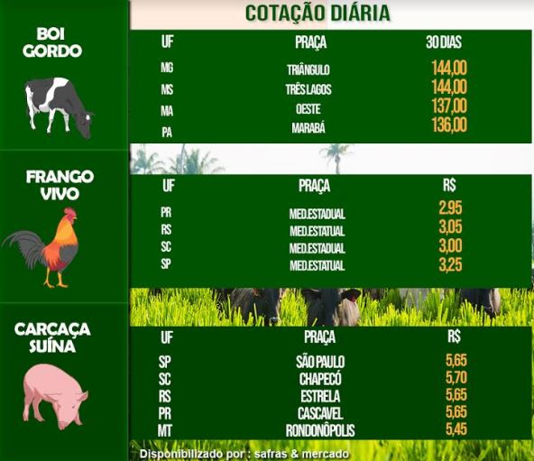 Indicadores