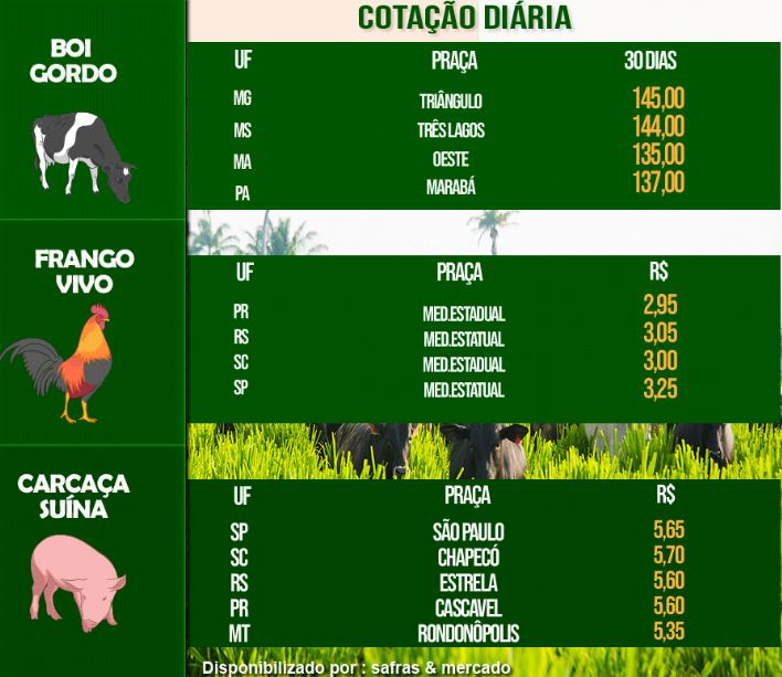 Indicadores