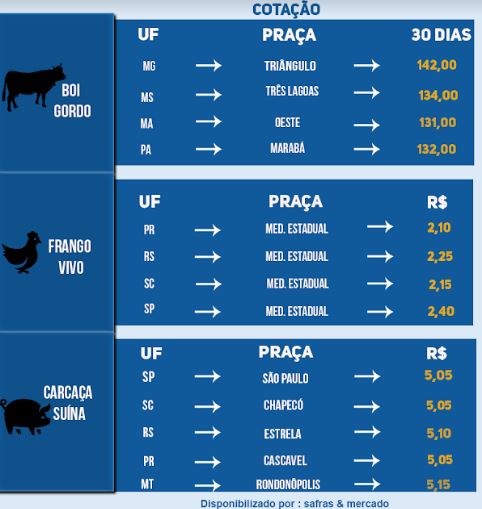 Indicadores