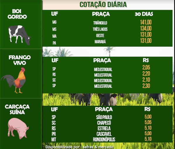 Indicadores