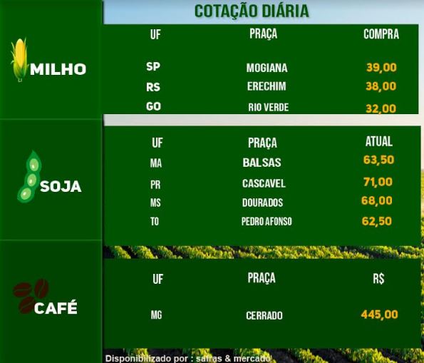 Indicadores