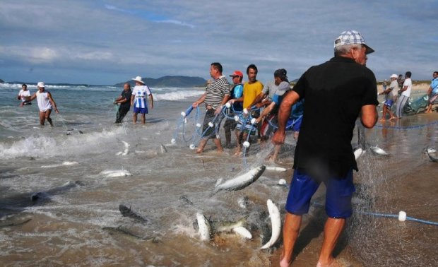 Pesca