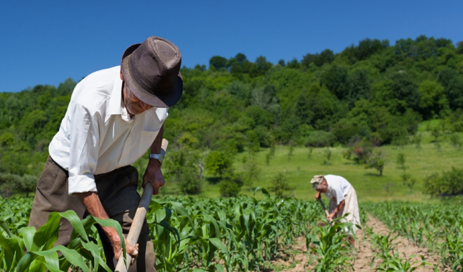 O produtor rural deve ir até uma unidade da Receita no domicílio tributário, sem a obrigatoriedade de agendamento