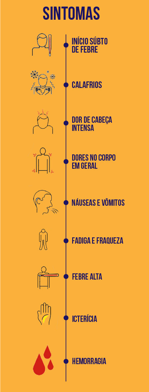 Saiba quais os principais sintomas da febre amarela