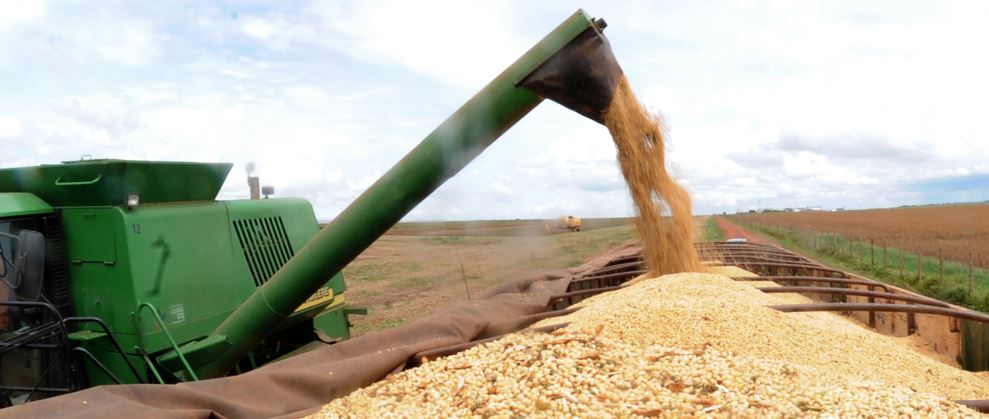 Produção de soja: Foto/Arquivo EBC Tabelamento do frete