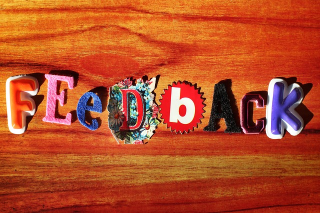 avaliaçaõ de desempenho feedback