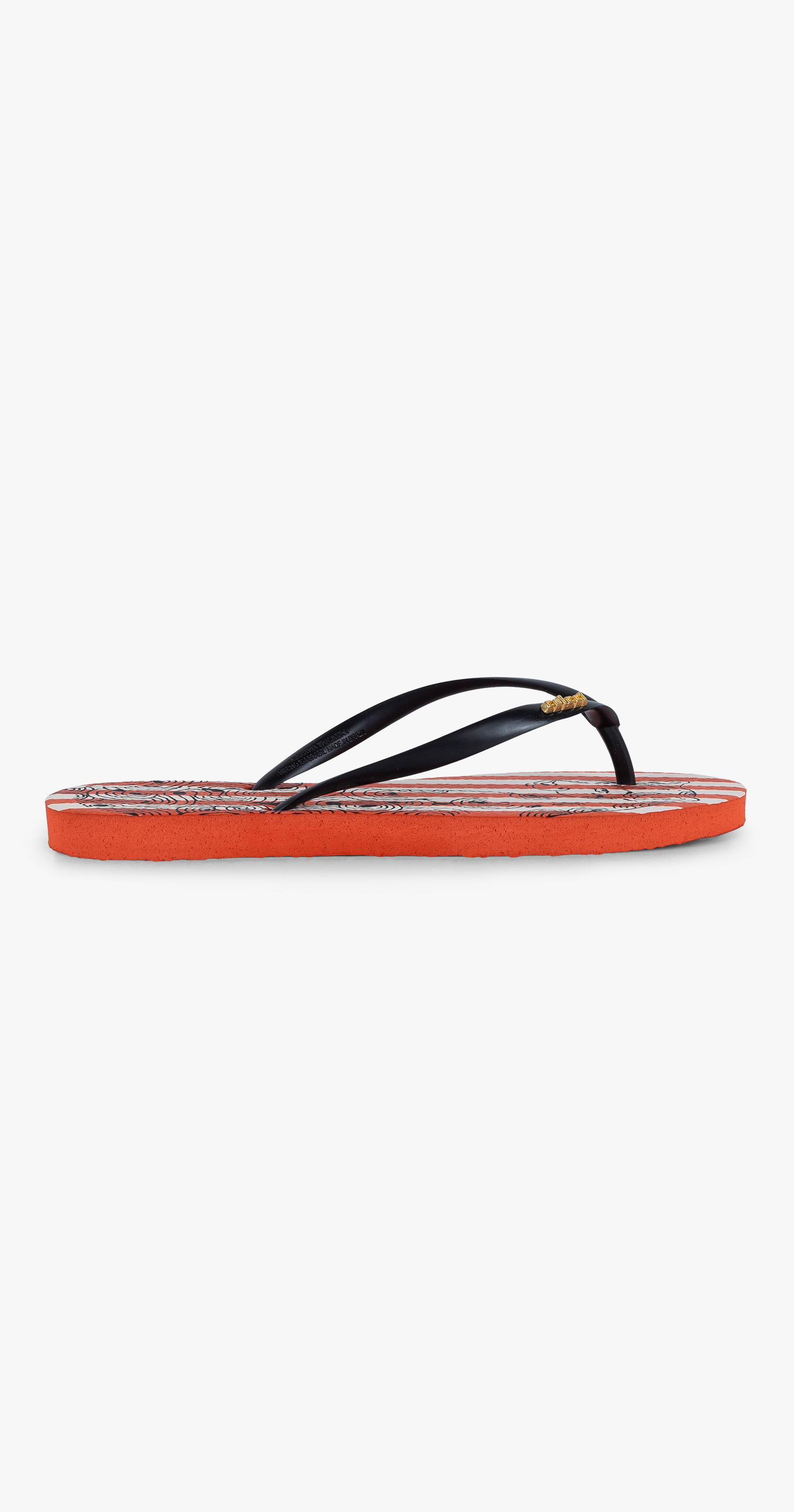 CHINELO FEM COLCCI MEOWTIFUL 33-34 MARROM EBBELA