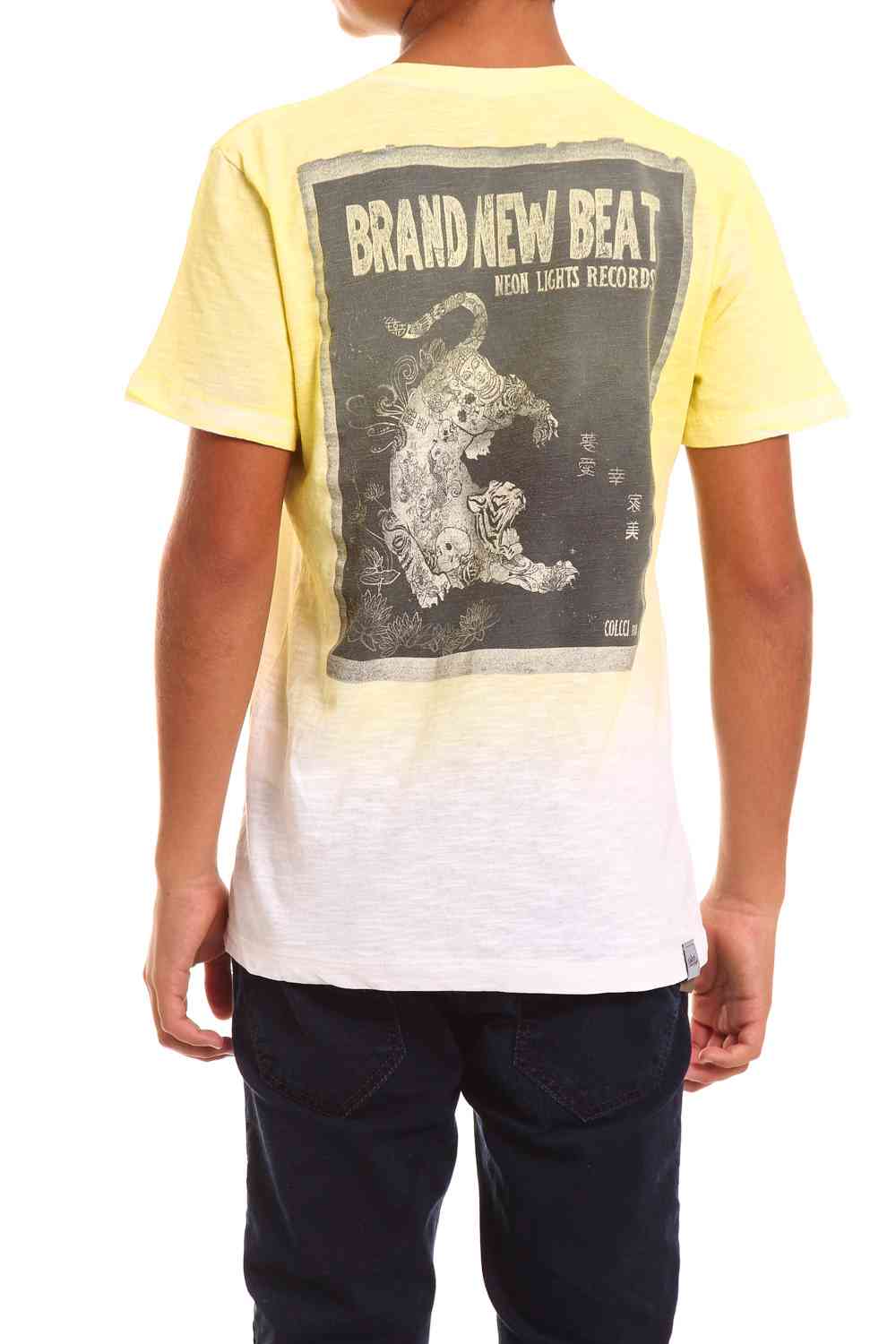 BLUSA MASC MC EST LAV 14 VERDE FROSTY