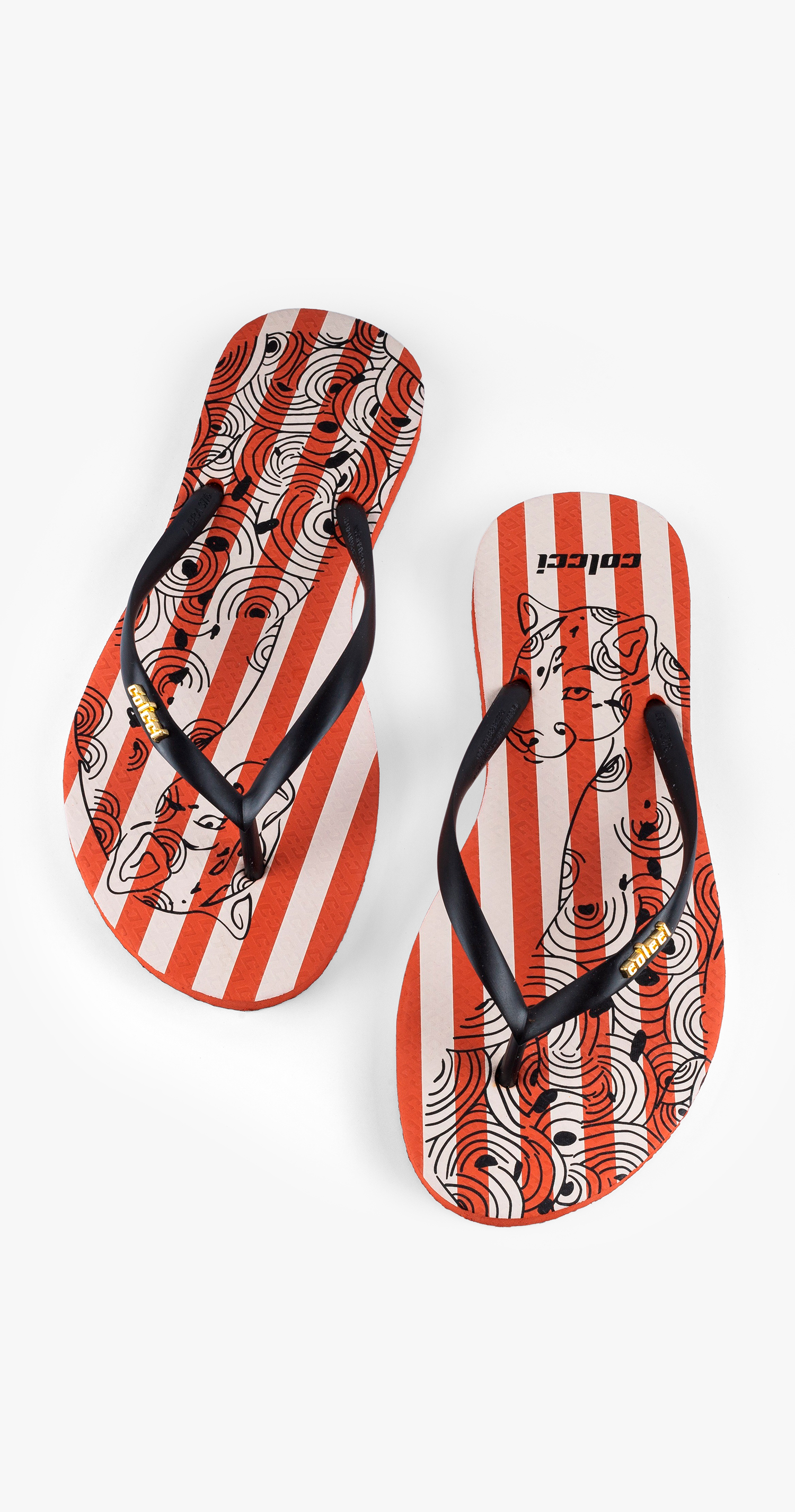 CHINELO FEM COLCCI MEOWTIFUL 33-34 MARROM EBBELA