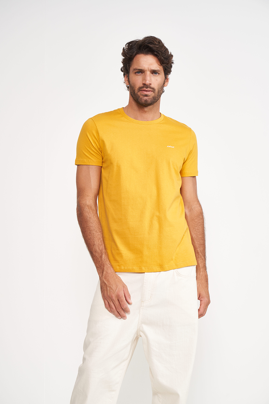 CAMISETA COLCCI PP VERDE PLAYA VIS