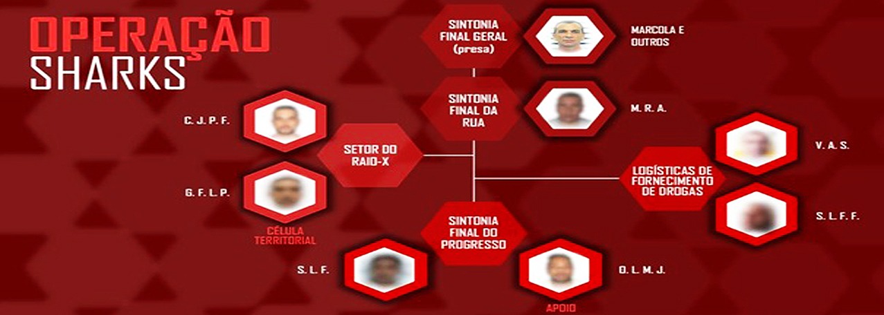 Gaeco deflagrou hoje a operação Sharks com apoio de 8 promotores de Justiça e 250 PMs