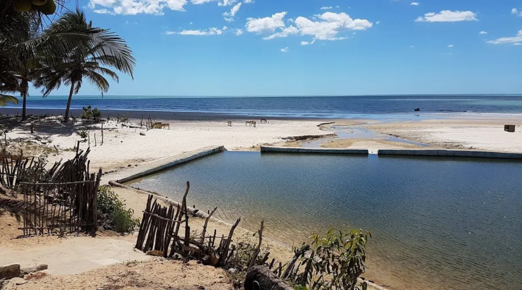 Praia Nova