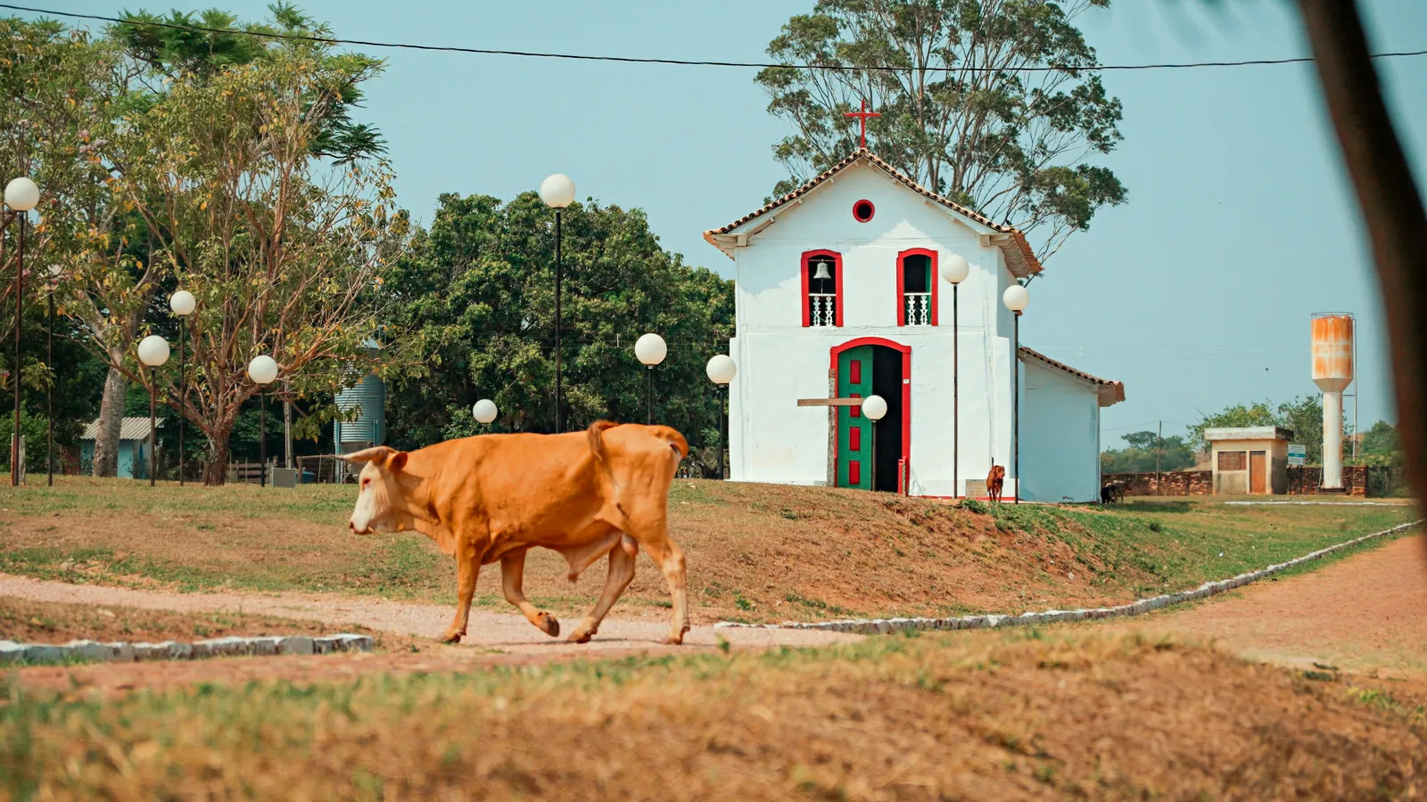Foto do roteiro Sertão da Farinha Podre