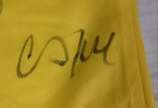 Camisa Seleção Brasileira,  - CAMISA SELEÇÃO BRASILEIRA , Camisa Genérica da Seleção Brasileira autografada e com dedicatória. Camisa Seleção Brasileira não oficial, mas autografad