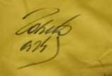 Camisa Seleção Brasileira,  - CAMISA SELEÇÃO BRASILEIRA , Camisa Genérica da Seleção Brasileira autografada e com dedicatória. Camisa Seleção Brasileira não oficial, mas autografad