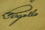 Camisa Seleção Brasileira,  - CAMISA SELEÇÃO BRASILEIRA , Camisa Genérica da Seleção Brasileira autografada e com dedicatória. Camisa Seleção Brasileira não oficial, mas autografad