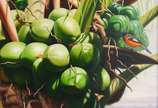 Rose Fernandes, Cocos e pássaros - – Óleo sobre Tela. Coleção Fauna e Flora brasileira. Assinado: C.I.E
