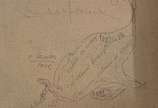 Chico da Silva (1910-1985),  - Óleo sobre tela. Assinado C.I.D e datado: 1981. Com dedicatória no verso. Coleção Mario Lorenzetti.