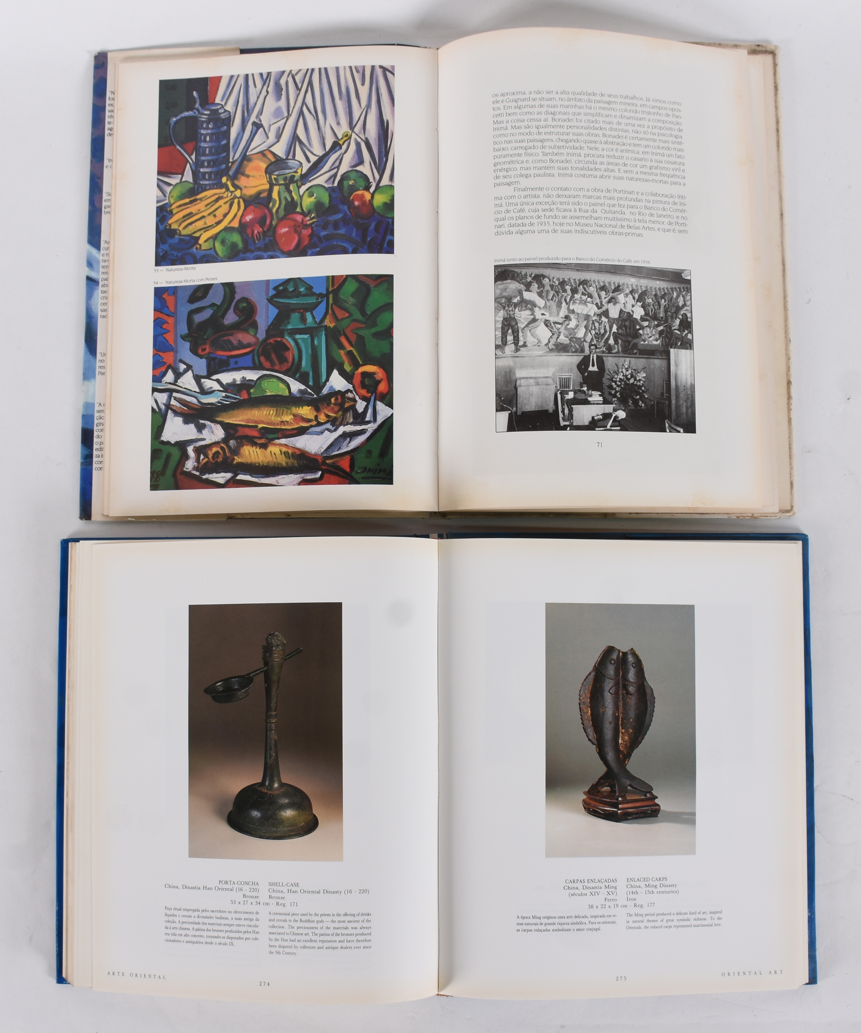 Dois livros, sendo: a) Museus CASTRO MAYA, b) Inimá de Paula - foto 4 de 4