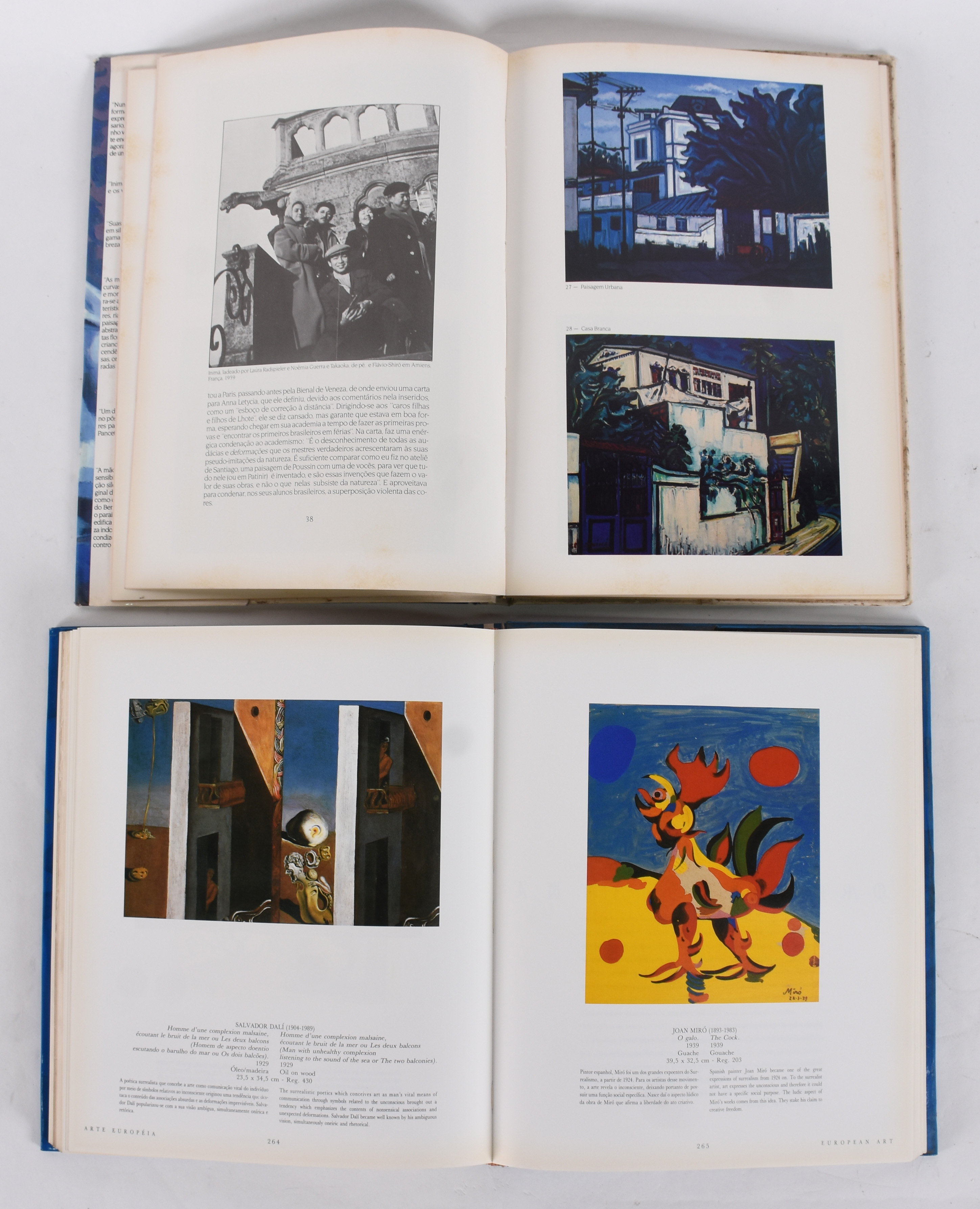 Dois livros, sendo: a) Museus CASTRO MAYA, b) Inimá de Paula - foto 3 de 4