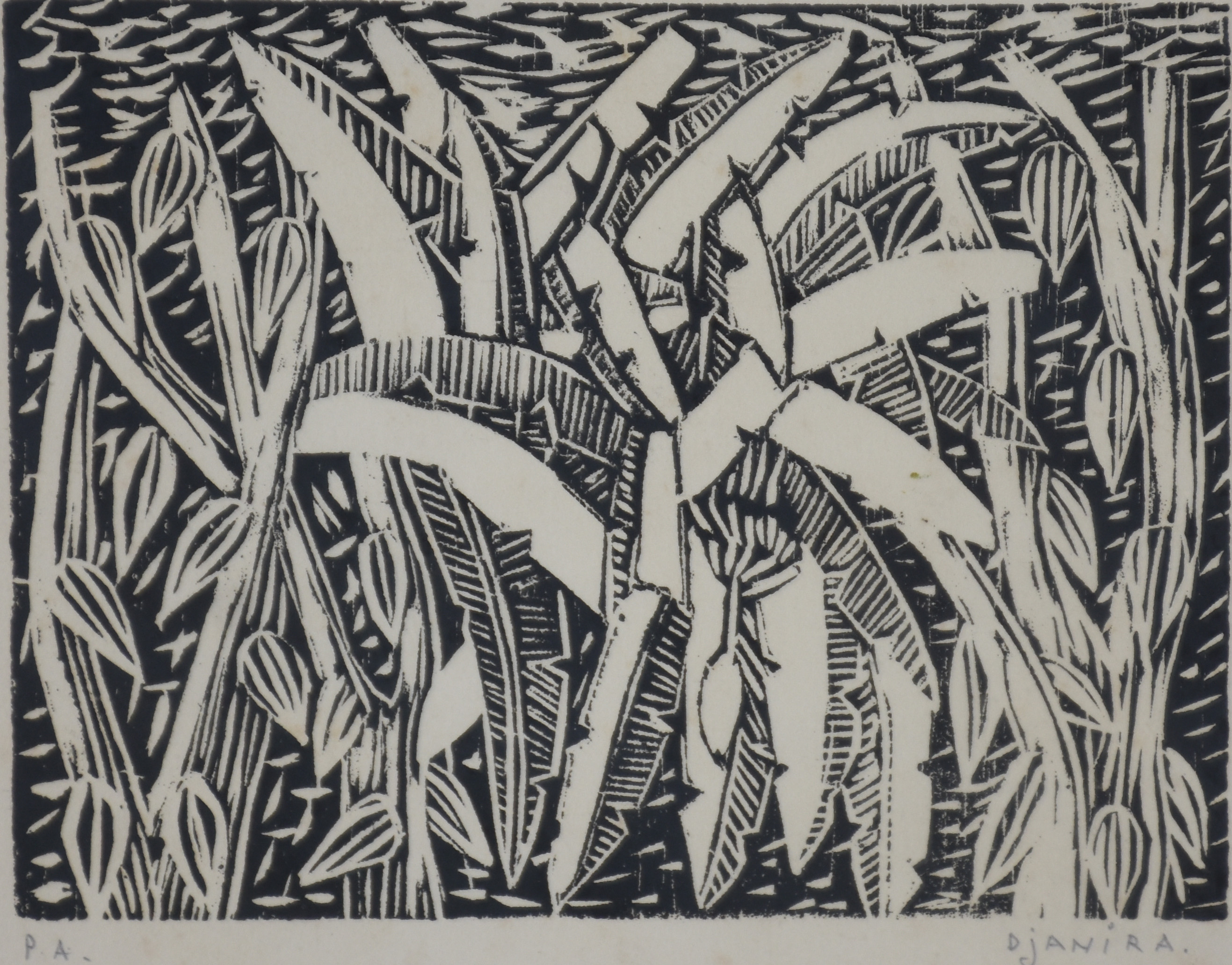 Djanira (1914-1979), Plantação - foto 1 de 5