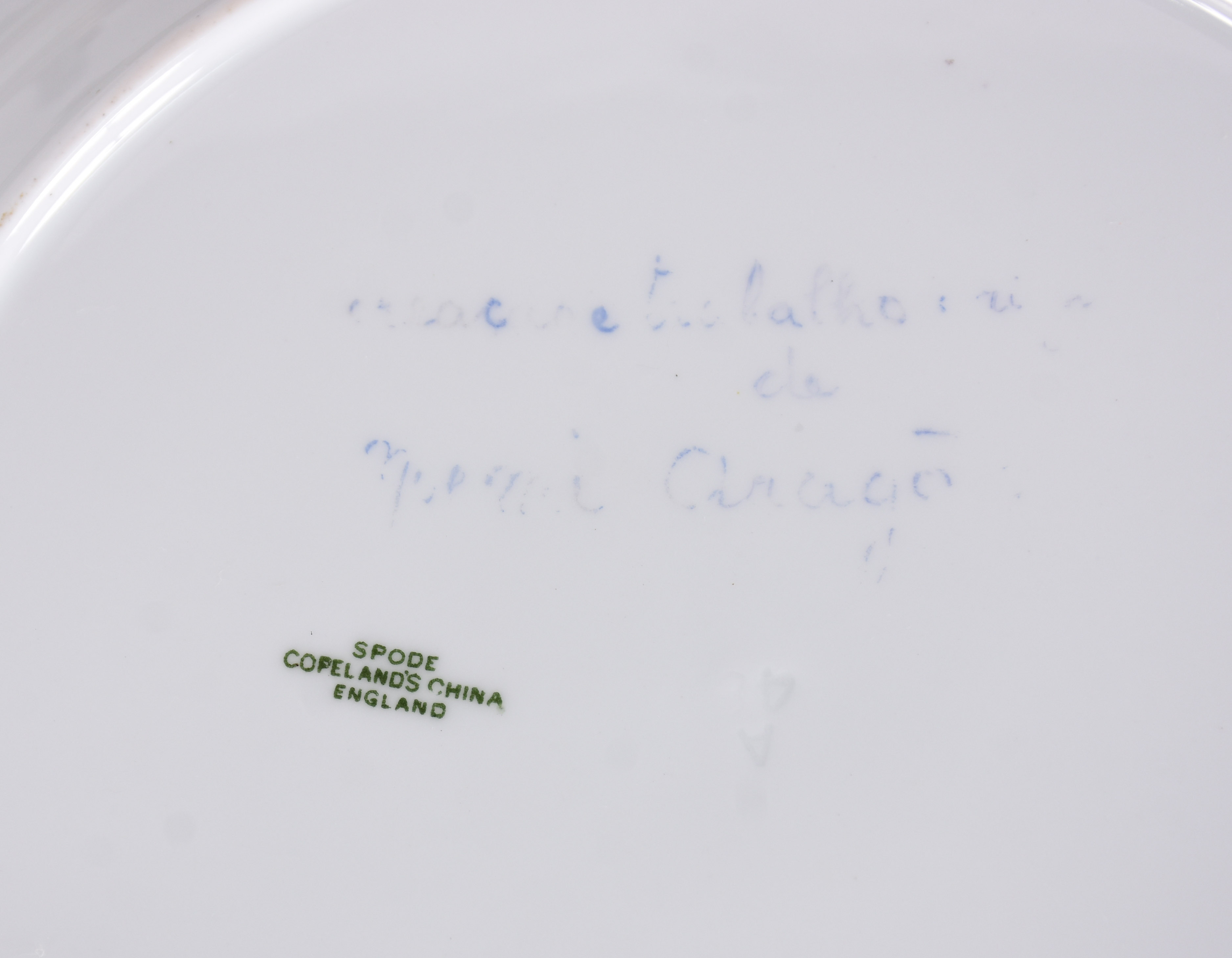 Doze pratos de porcelana inglesa com flores e policromia. - foto 3 de 4