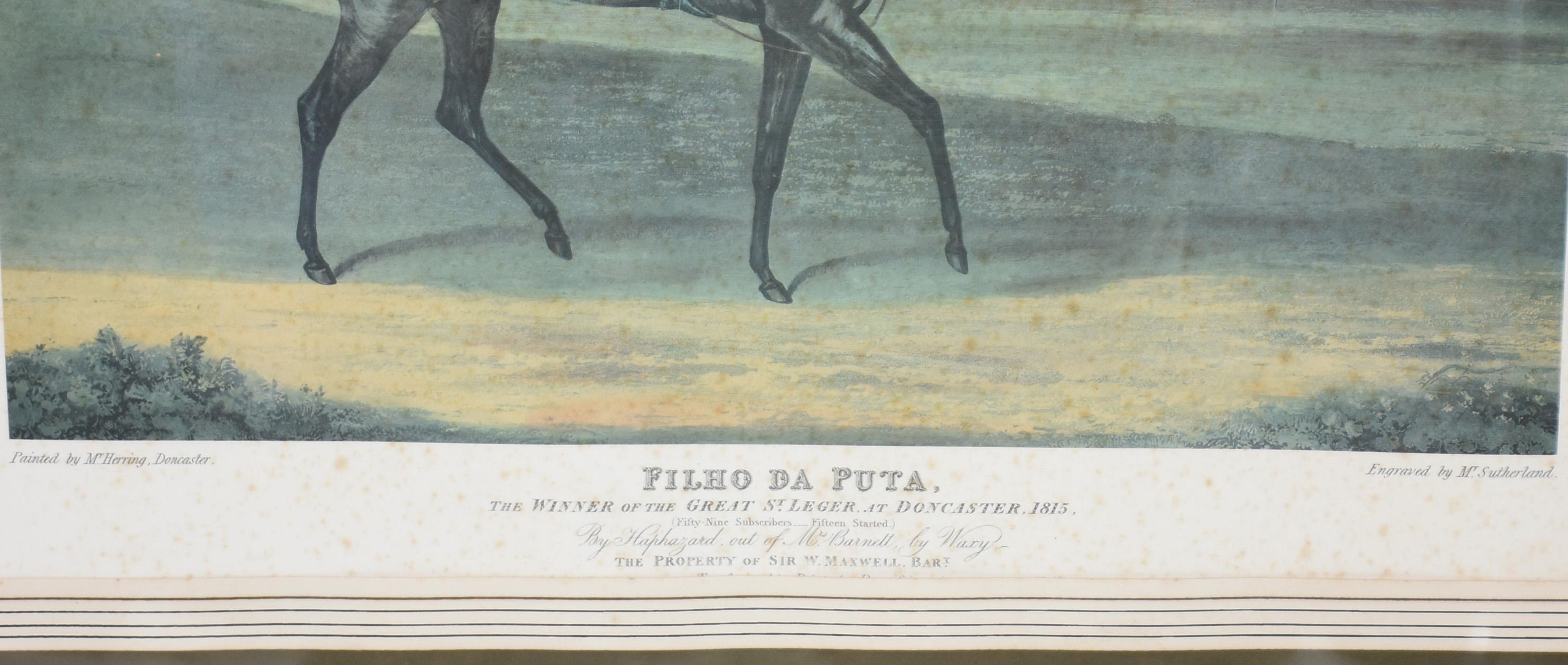 Duas gravuras, sendo uma inglesa representando o cavalo "Filho da... - foto 2 de 3