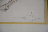 SALVADOR DALI - litografia 234/250 - 40 x 57 cm. - SALVADOR DALI - litografia 234/250 - 40 x 57 cm.
