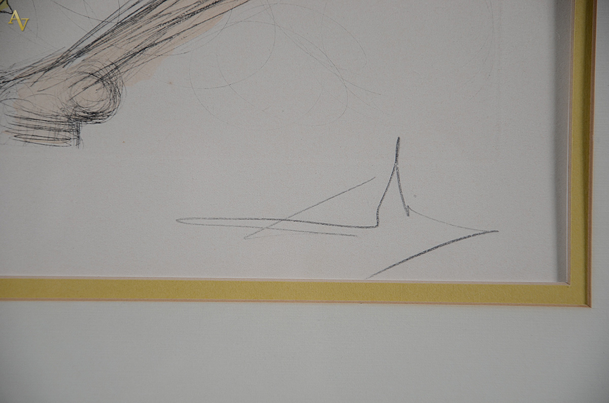 SALVADOR DALI - litografia 234/250 - 40 x 57 cm. - foto 3 de 3