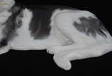 Cachorro de porcelana Rozenthal. Comprimento 27... - Cachorro de porcelana Rozenthal. Comprimento 27 cm (com restauro).