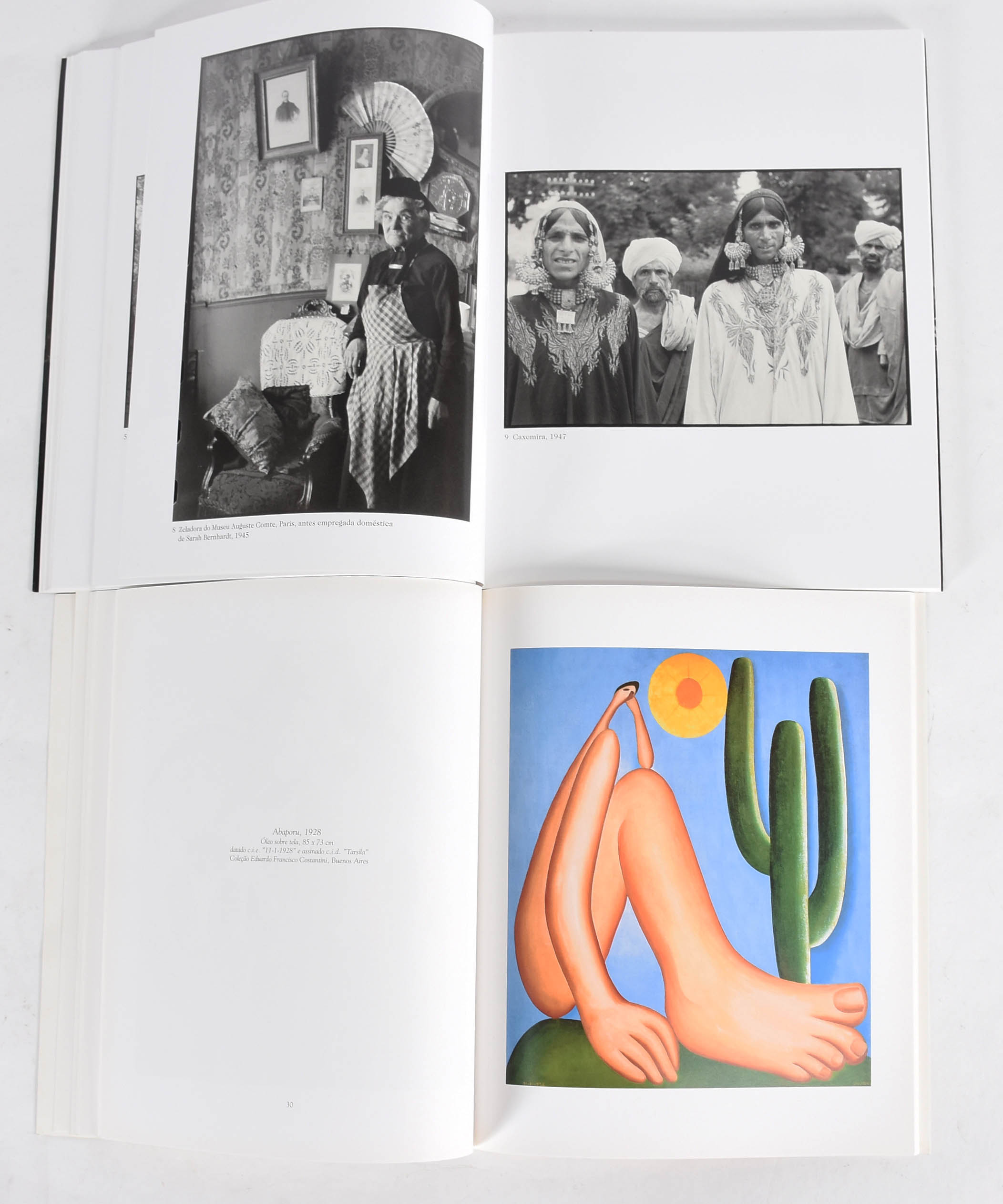 Tarsila do Amaral (1886-1973) - foto 4 de 6