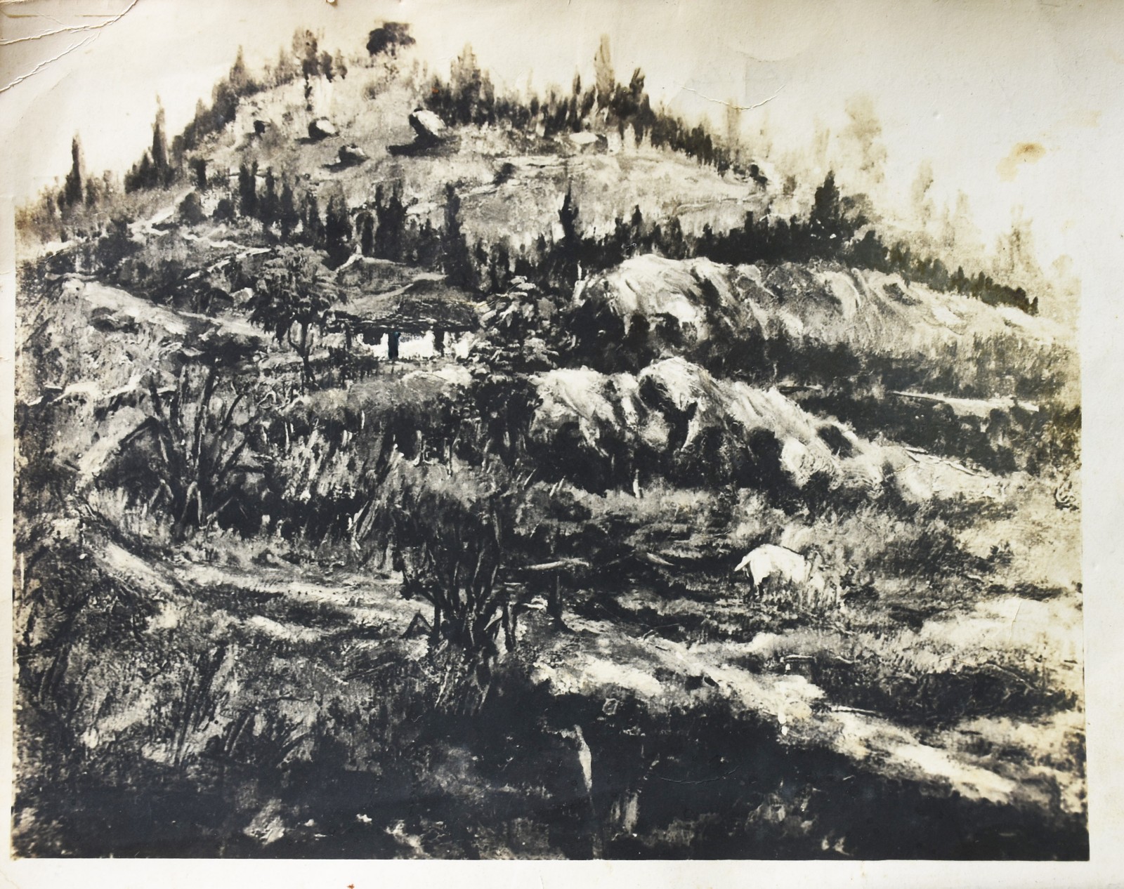Baptista da Costa  (1865-1926), Paisagem com casa - foto 7 de 7